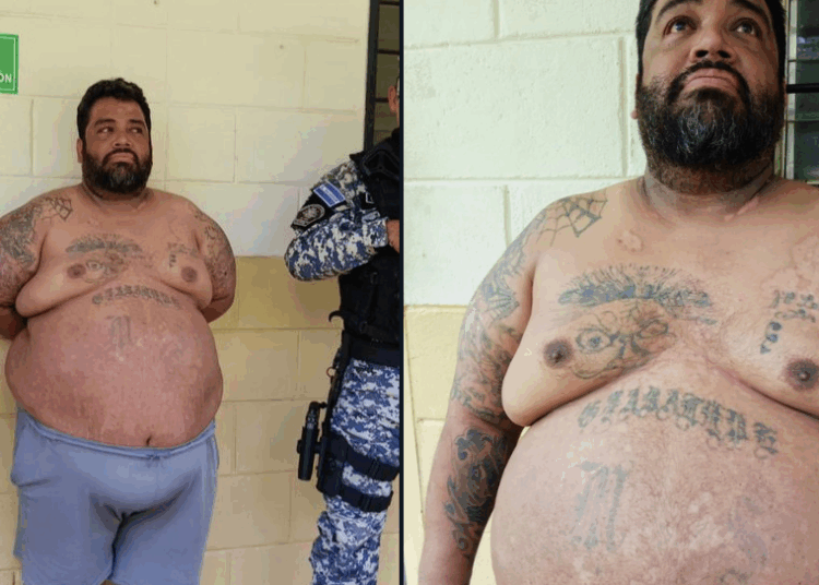 Capturan a homeboy de la MS13 por abuso sexual y extorsión en Santa Ana